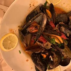 Mussels in a spicy tomato sauce with lemon, on classic china
